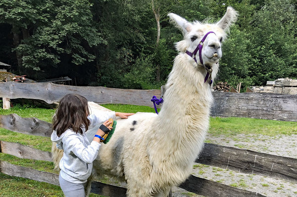 Auch wenn die Masken schon mal lästig waren, so freute sich Abenteuerdorf-Geschäftsführerin Silke Grübener in ihrem Bericht doch über die Freude, mit der Kinder die Wemlighäuser Einrichtung im vergangenen Jahr erlebt haben.